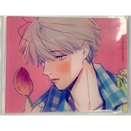CATEGORY ダヨオ | K-BOOKS 池袋 2次元グッズ通販
