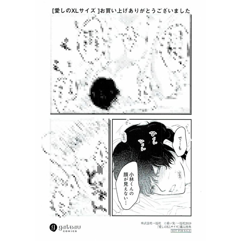 重い実『愛しのXLサイズ』 購入特典 ペーパー【BLグッズ】 | K-BOOKS 