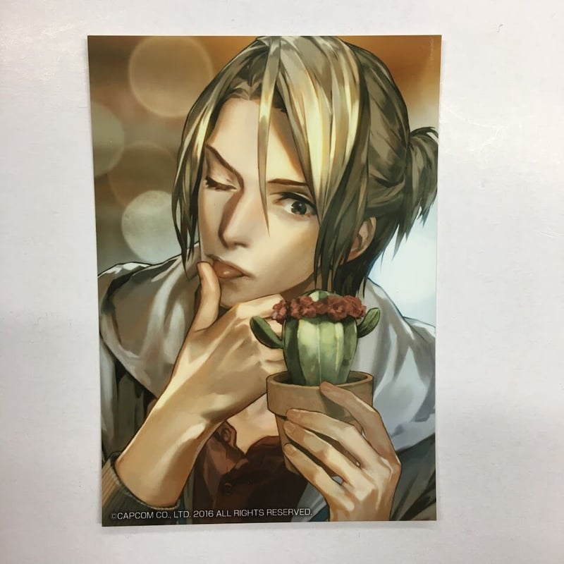 囚われのパルマ 公式ファンブック アニメイト限定セット Nintendo