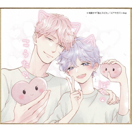 drap　アニメイト　オンリーショップ　佐倉リコ　パステルパープル　サイン　色紙 drap アニメイト オンリーショップ 佐倉リコ パステルパープル