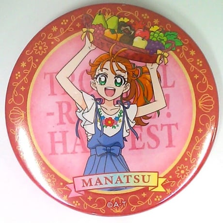 STORES トロピカルージュプリキュア 缶バッジの検索結果