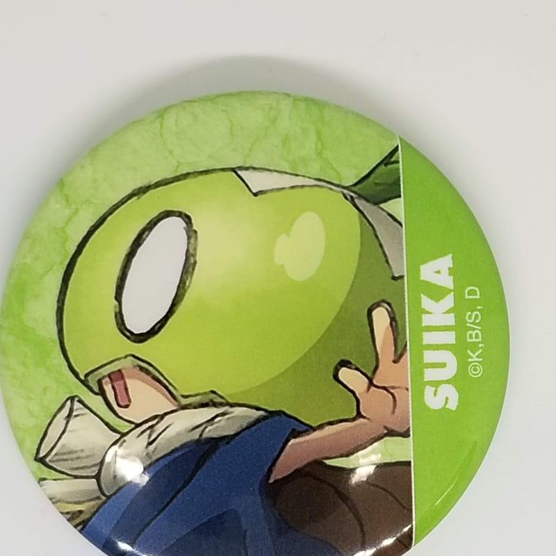 Dr.STONE スイカ トレーディング缶バッジ | K-BOOKS 池袋 2次元グッズ通販