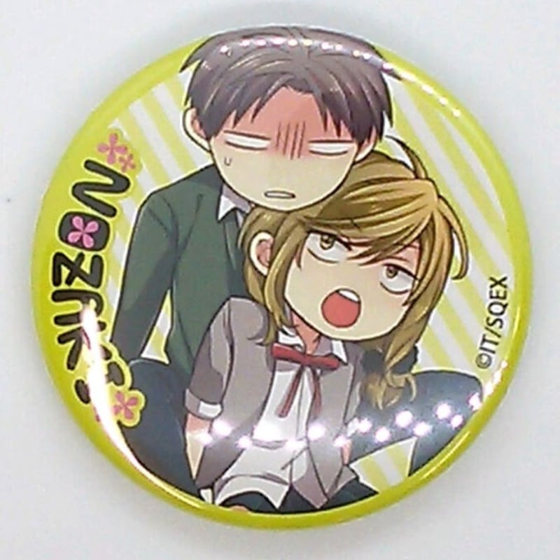 月刊少女野崎くん DVD 全6巻 ラバスト 缶バッジ