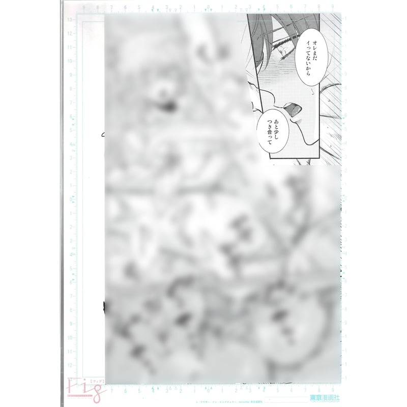 tomomo 「ブラザー・イン・ピンクチェリー」 A4 複製原画 【BLグッズ 