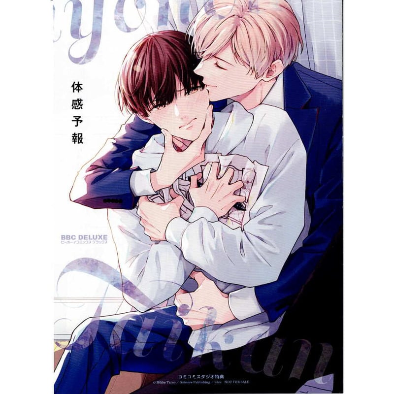 鯛野ニッケ 『 体感予報』 コミコミ リーフレット【BLグッズ】 | K