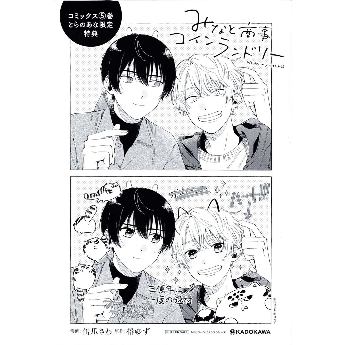 缶爪さわ 椿ゆず 『みなと商事コインランドリー』5巻 とらのあな