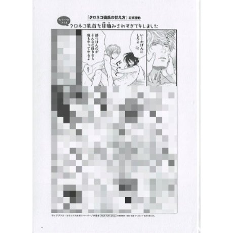 左京亜也『クロネコ彼氏の甘え方』　購入特典　ペーパー【BLグッズ】