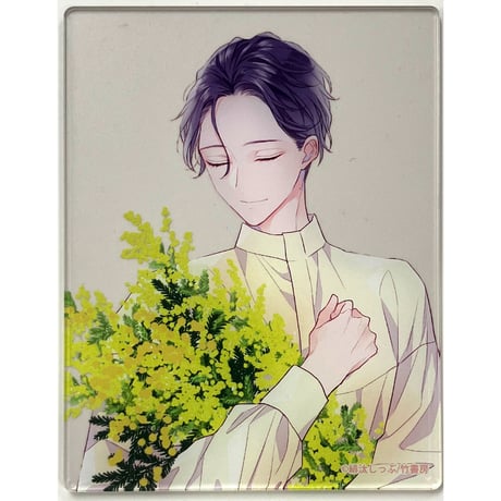 CATEGORY 緋汰しっぷ | K-BOOKS 池袋 2次元グッズ通販