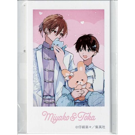 ハレルヤベイビーまとめ売り