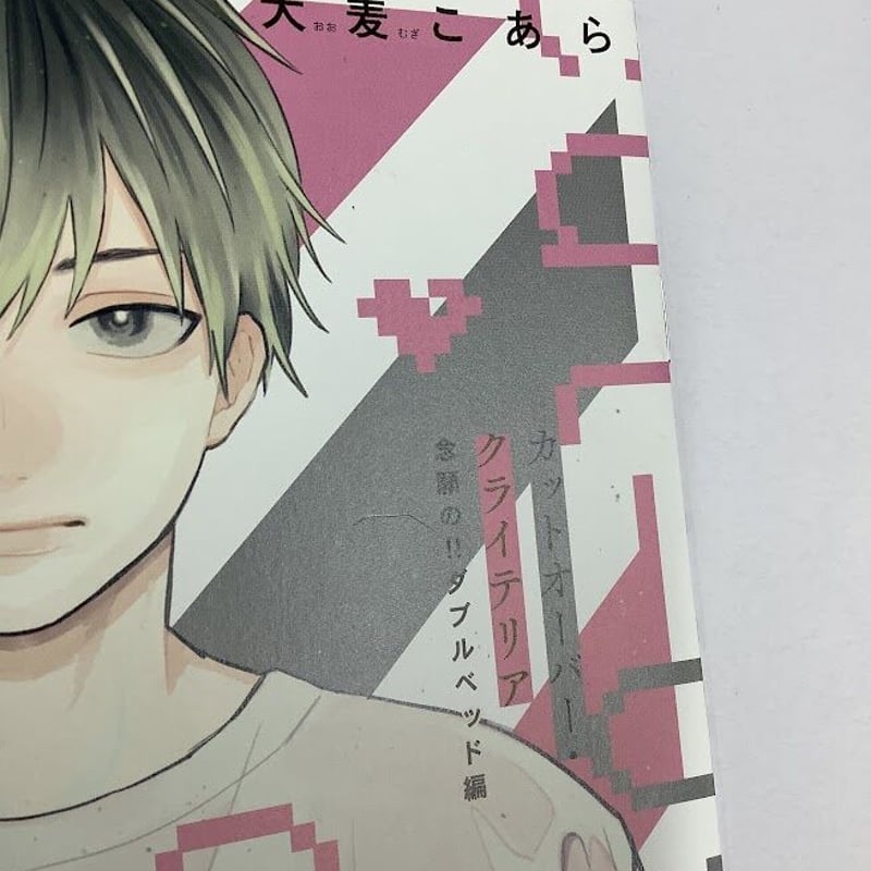 大麦こあら 『カットオーバー・クライテリア』 とらのあな特典 小冊子