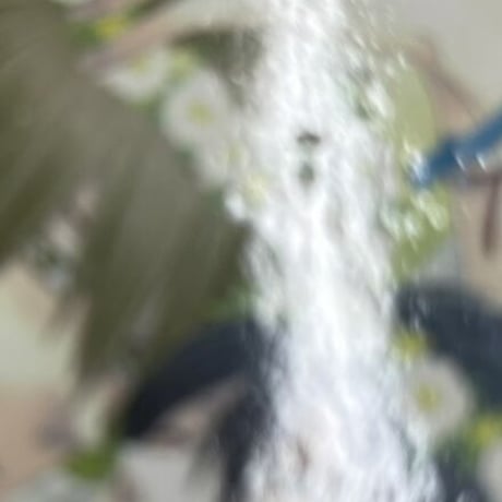 【イタミ有】『抱かれたい男1位に脅されています。』ぱしゃこれ　西條高人　東谷准太　【BLグッズ】