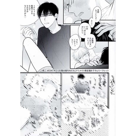 BL漫画　20冊セット　アニメイト限定特典付き　お得　美品 BL作家20名描き下ろし豪華小冊子プレゼント！BLアワード2024