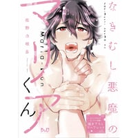 佐野由岐彦  『なきむし悪魔のマリアくん』コミコミ　リーフレット 【BLグッズ】