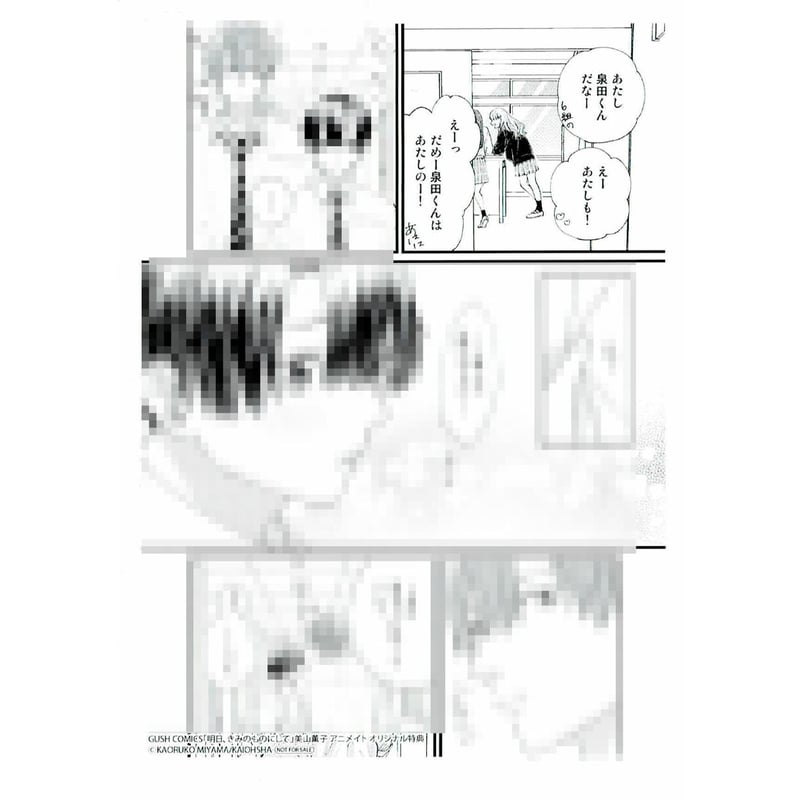 美山薫子 『明日、きみのものにして』アニメイト ペーパー【BL 美山薫子 『明日、きみのものにして』アニメイト ペーパー【BL