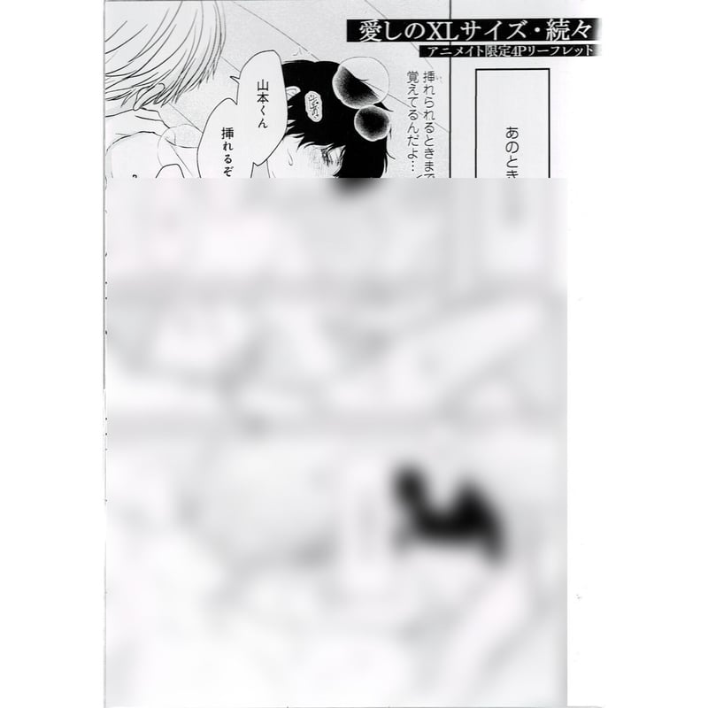 重い実『愛しのXLサイズ 続々』アニメイト特典 リーフレット【BLグッズ