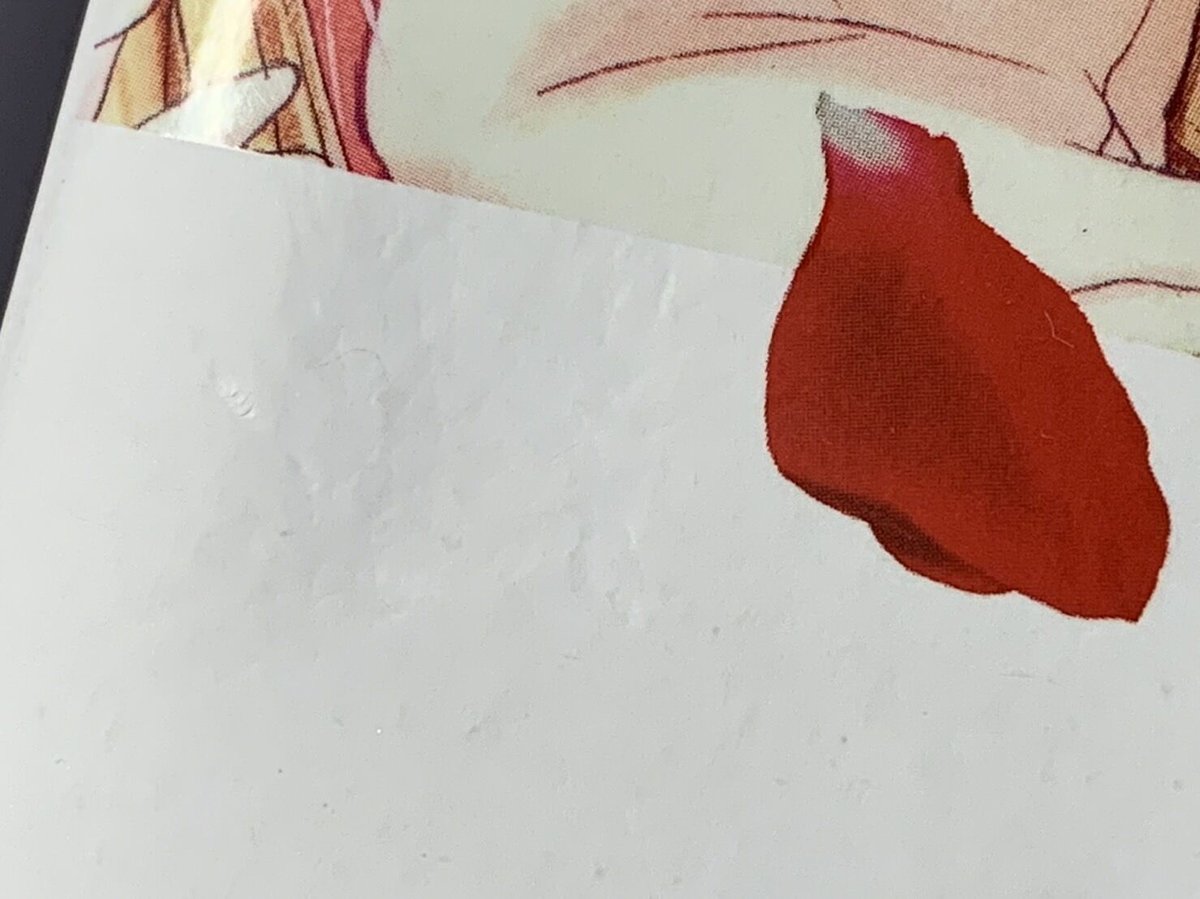 箱傷み有り】種村有菜 『神風怪盗ジャンヌ』 PROPLICA 初回特典付