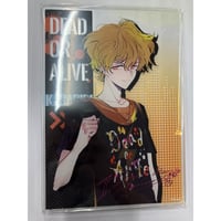 ディアヴォーカリスト モモチ ブロマイド | K-BOOKS 池袋 2次元
