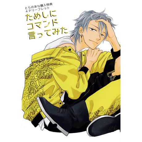 10点セット ためしにコマンド言ってみた ゆくえ萌葱 美品】【商業BL】ためしにコマンド言ってみた 著:ゆくえ萌葱