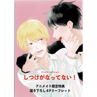 上田にく 『しつけがなってない！』 アニメイト特典 リーフレット 【BLグッズ】