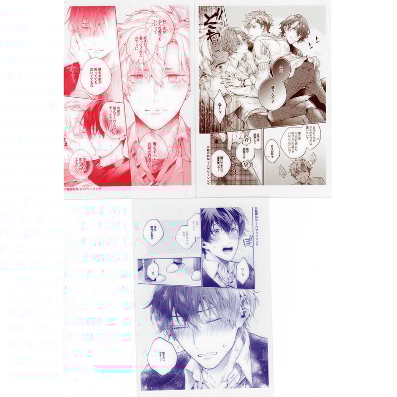 鮭田ねね 『ヤンキーはなちゃんの猫のかわいがり彼氏』 G-Lish10周年