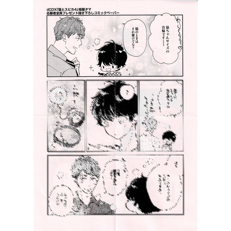 鳩屋タマ『猫とスピカ』4巻 全プレ ペーパー【BLグッズ】 | K-BOOKS