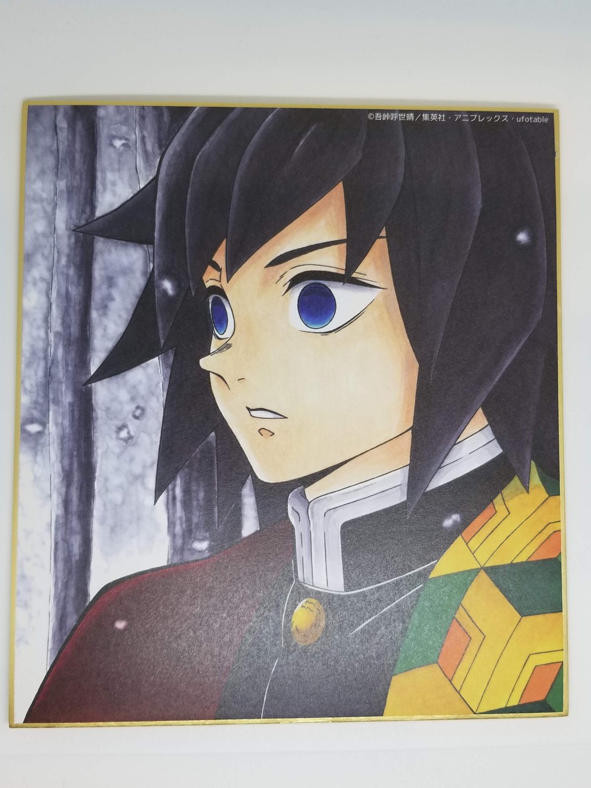 冨岡義勇　不死川実弥　全集中展　ミニ色紙 鬼滅の刃 全集中展 作画スタッフ全集中複製ミニ色紙（全5