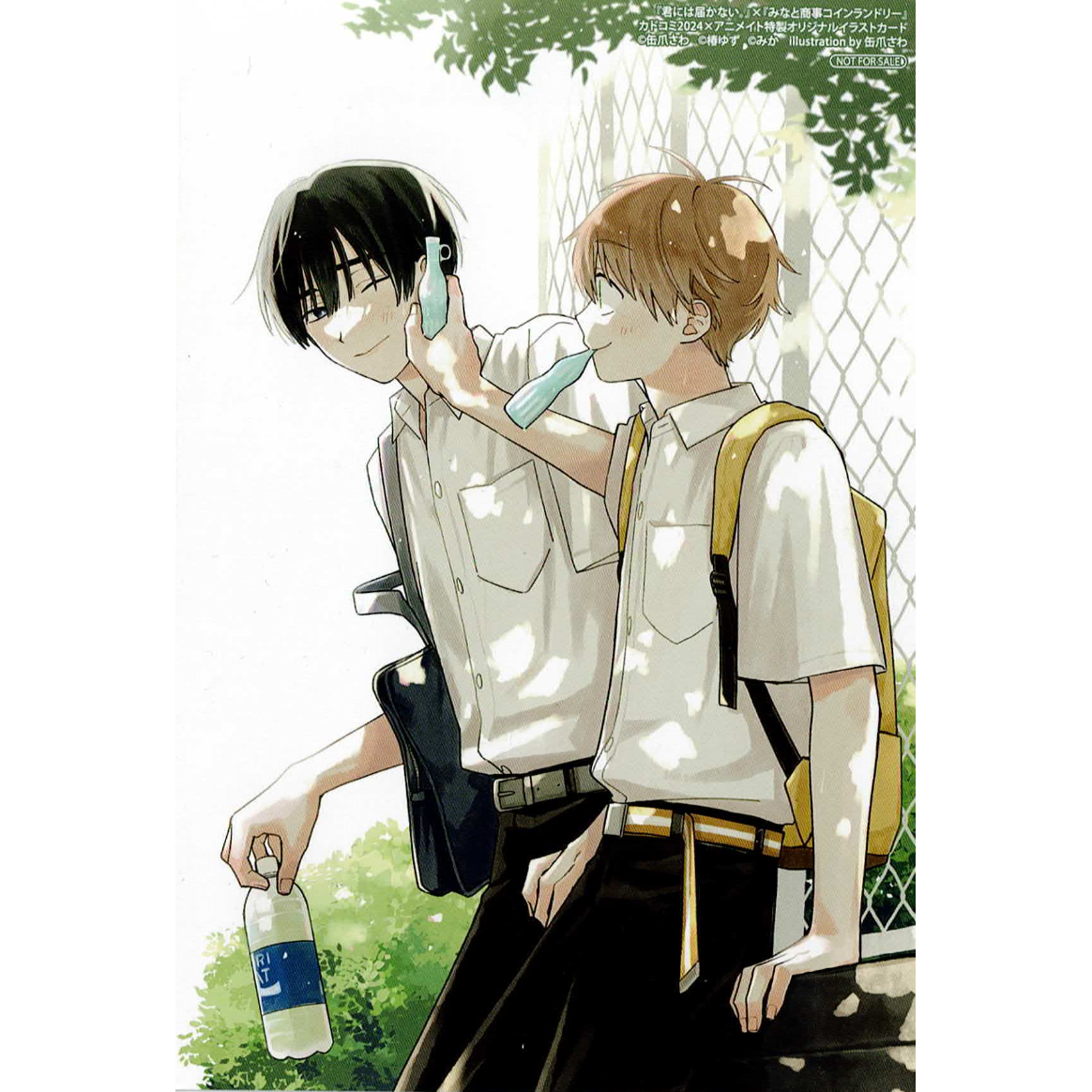みなと商事コインランドリー』『君には届かない。』 カドコミ2024