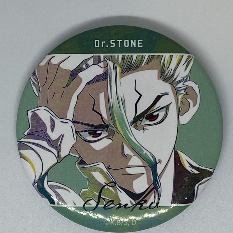 Dr.STONE 石神千空 缶バッジ TVアニメ「Dr.STONE」 - 石神千空 Ani-Art BIG缶バッジ