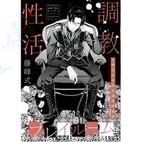 理想的恋愛の条件 ぬいぐるみ 灰田ナナコ『理想的恋愛の条件』 ORIGOO ぬいぐるみ セット 【BL
