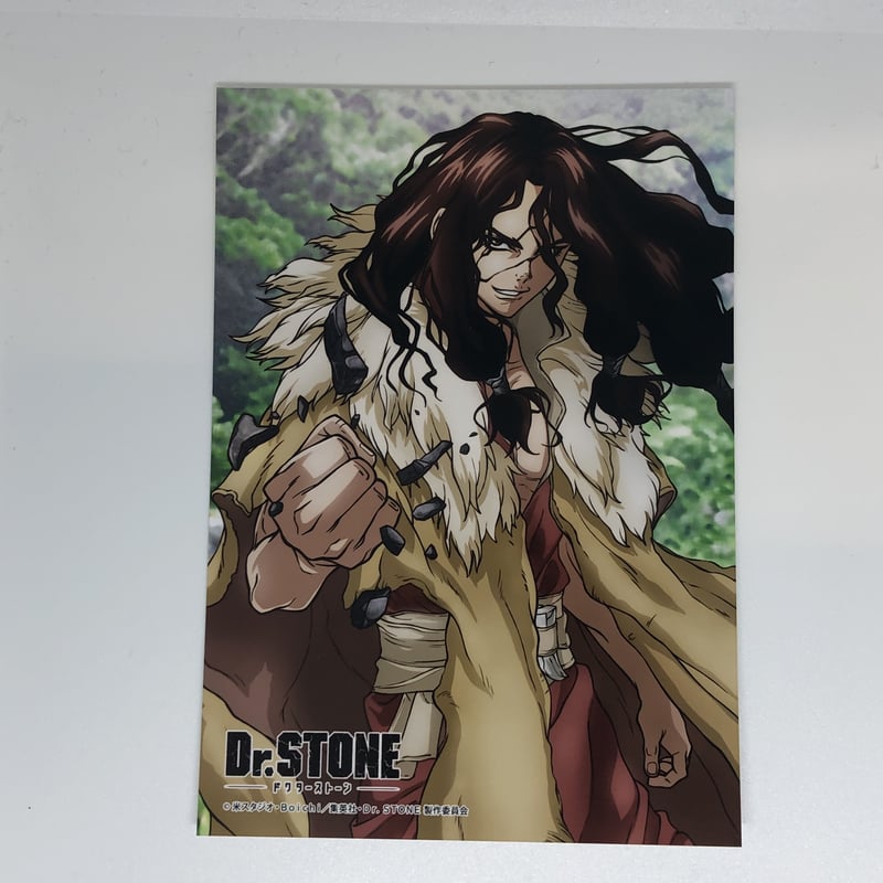 Dr.STONE 獅子王 司 ブロマイド（バラ） | K-BOOKS 池袋 2次元グッズ通販
