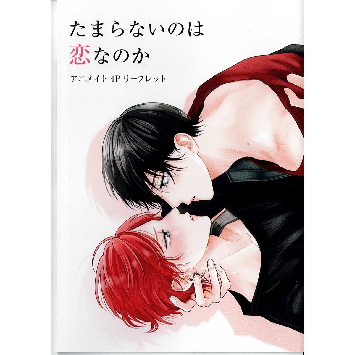 fit=scale-down,w=1200