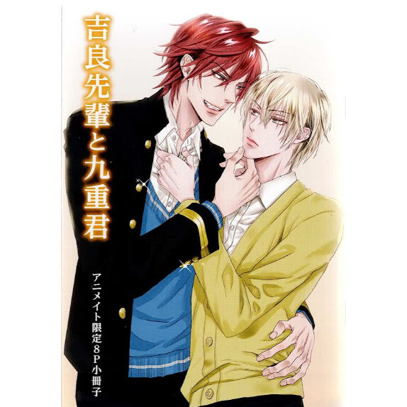 ＢＬ★⑨ まとめ売り、バラ売り　１７冊セット【変更有り】 BL まとめ売り バラ売り - メルカリ