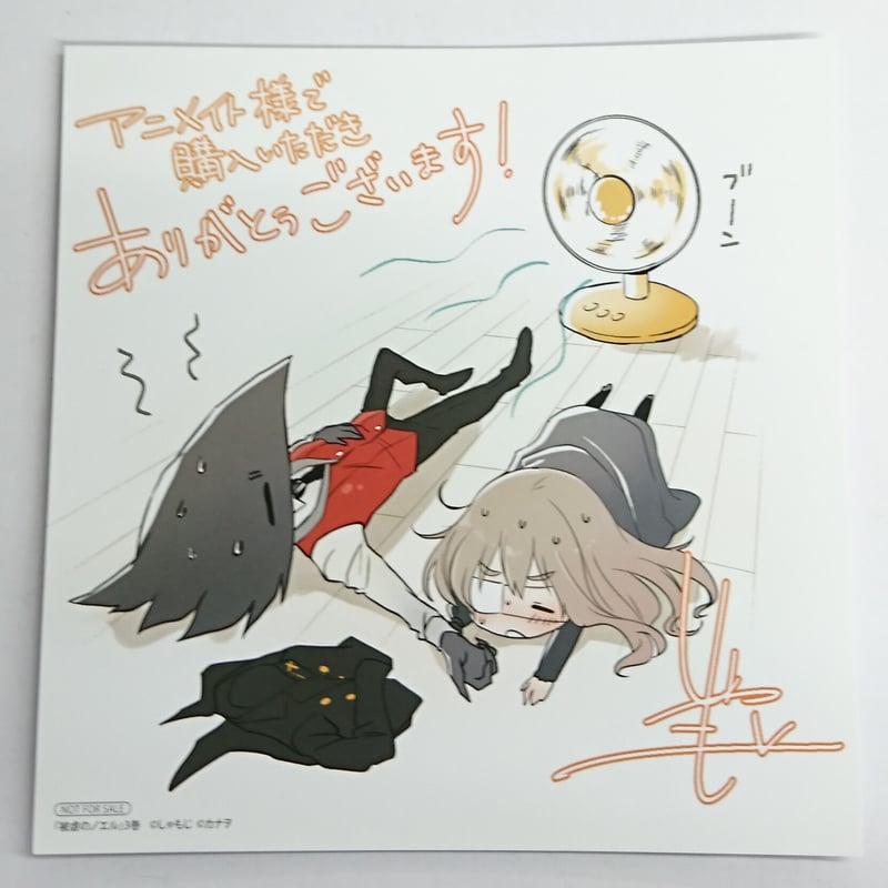 被虐のノエル 殺戮の天使 アニメイト ラフ集 特典 イラストカード 被虐