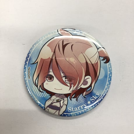 スタスカ　缶バッジ starry☆sky スタスカ 缶バッジ サブキャラ アニカプ - メルカリ