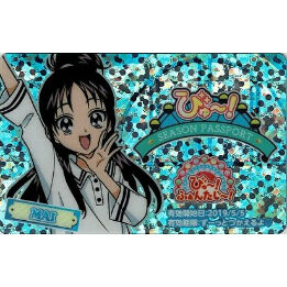 ふたりはプリキュアスプラッシュスター 美翔舞 プリキュアランド