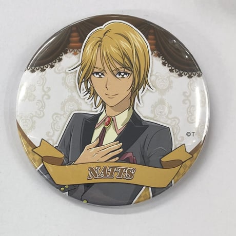 STORES プリキュアランド 缶バッジの検索結果