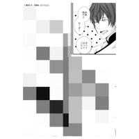 【傷み有り】藤咲もえ『腐男子召喚~異世界で神獣にハメられました~』3巻　購入特典　ペーパー【BLグッズ】