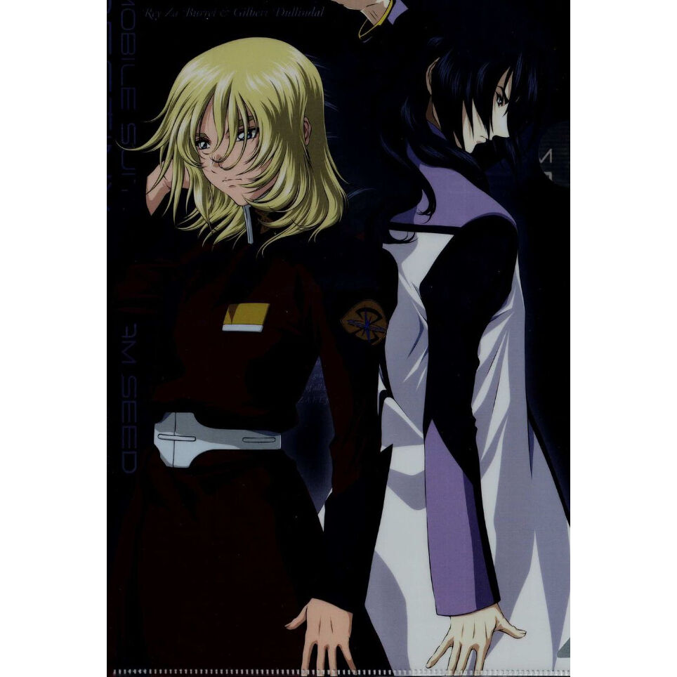 機動戦士ガンダムSEED DESTINY』 クリアファイル レイ デュランダル