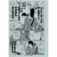 カードファイト!! ヴァンガード 櫂トシキ A4 クリアファイル | K