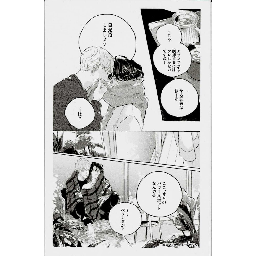 アマミヤ『ネイキッドカラー』 名シーン クリアカード【BLグッズ】 | K