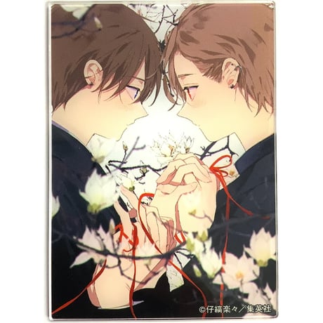 CATEGORY 仔縞楽々（小嶋ララ子） | K-BOOKS 池袋 2次元グッズ通販