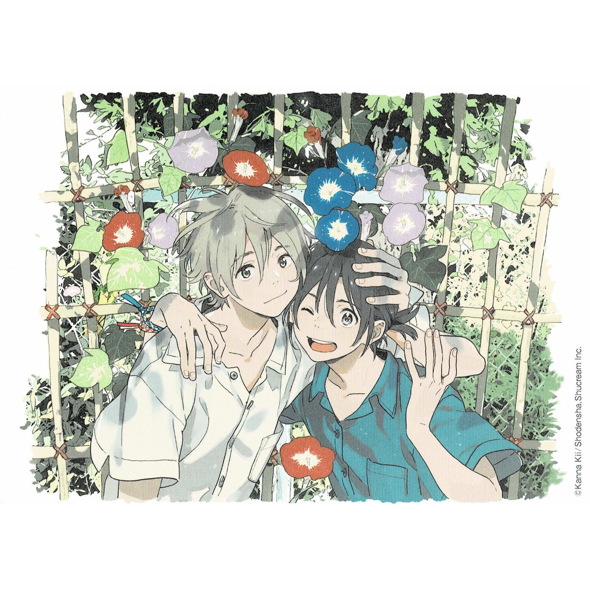紀伊カンナ『海辺のエトランゼ』イラストカード 単品【BLグッズ 紀伊カンナ『海辺のエトランゼ』イラストカード 単品【BLグッズ