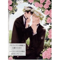 茉白あさひな 『お狐様のお気に入り』アニメイト リーフレット【BL