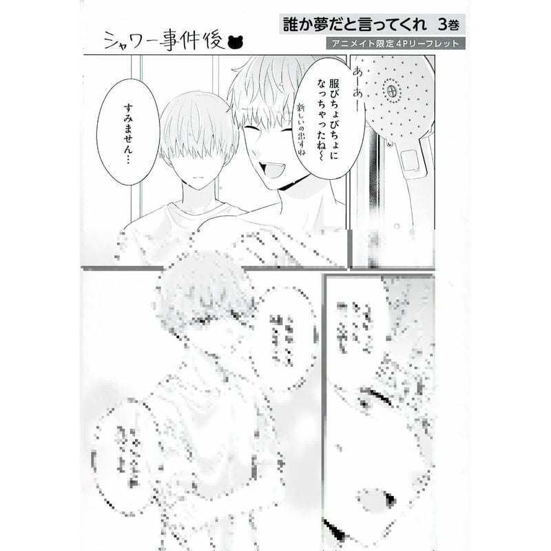 みっしぇる　誰か夢だと言ってくれ　特典セット　リーフレット　コミコミスタジオ みっしぇる 『誰か夢だと言ってくれ』1巻 とらのあな特典 両面