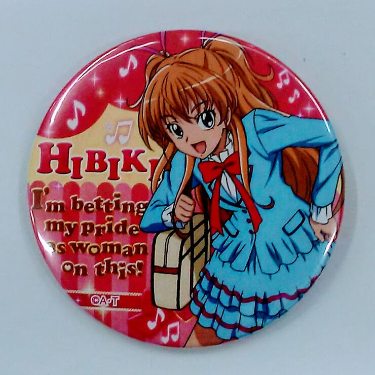 スイートプリキュア 北条響 プリキュアランド 缶バッジ まとめ売り スイートプリキュア 北条響 プリキュアランド 缶バッジ まとめ