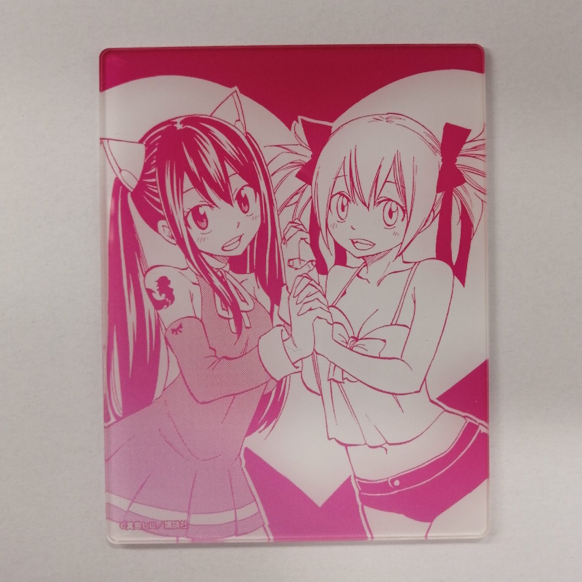【PSA10】FAIRYTAIL/ウェンディ・マーベル＆シェリア・ブレンディ フェアリーテイル トレーディング アクリルカード ウェンディ