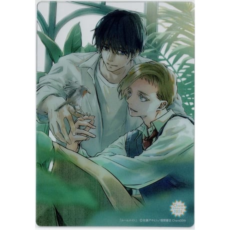CATEGORY 佐藤アキヒト | K-BOOKS 池袋 2次元グッズ通販