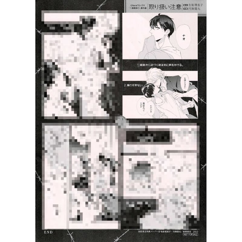 吉原理恵子 円陣闇丸 コミックス版『二重螺旋』3巻 初回限定特典