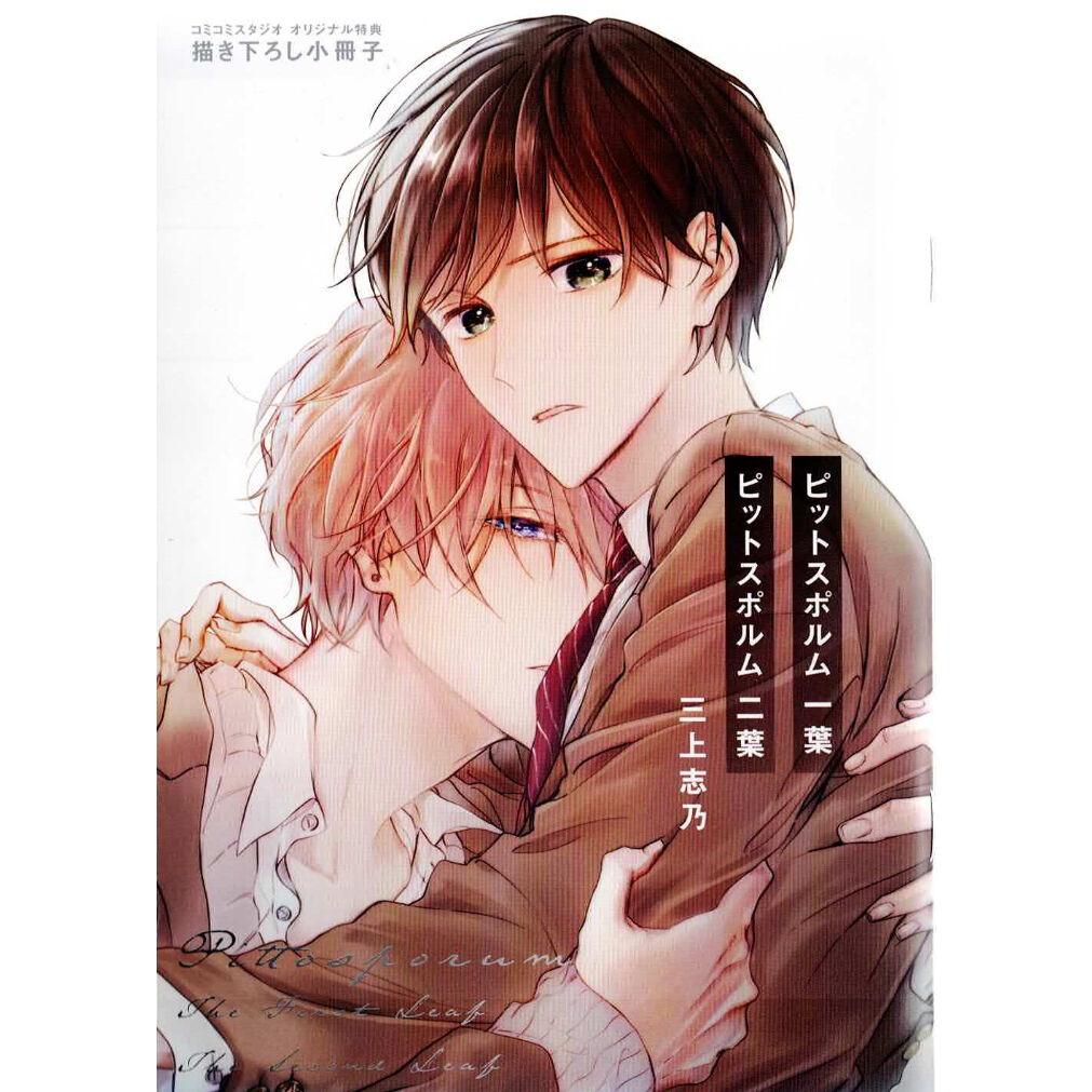 ピットスポルム 三上志乃 コミコミ ホーリンラブ 小冊子 リーフレット