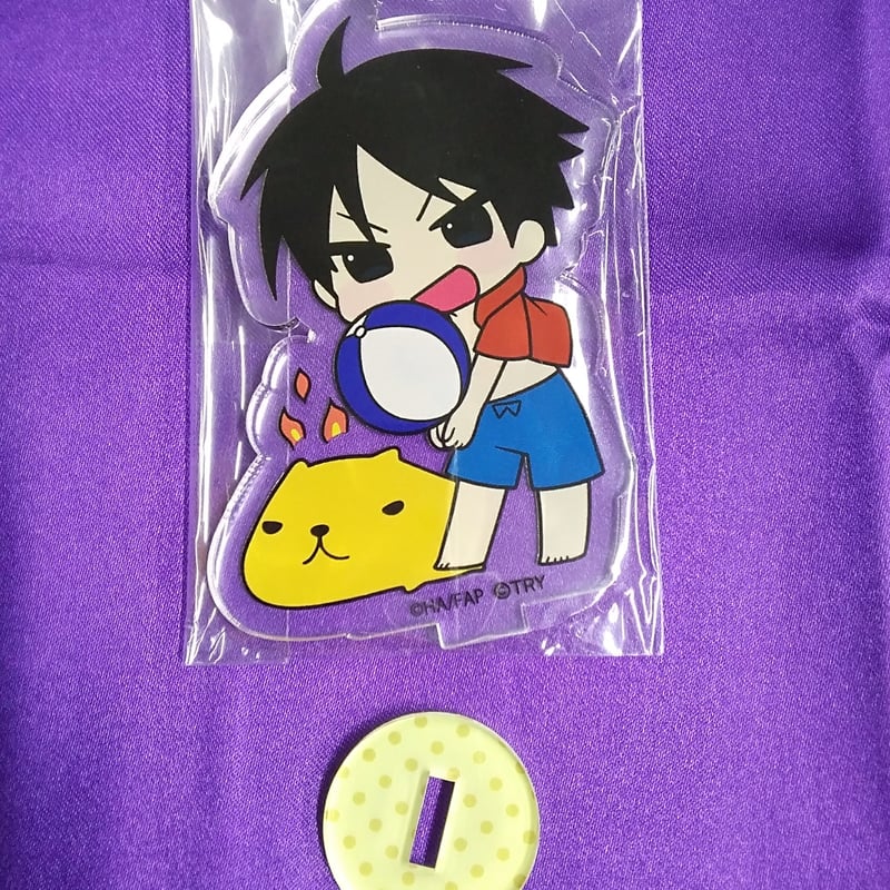 鋼の錬金術師FA×カピバラさん ×アニメガ BIGアクリルスタンド ロイ | K